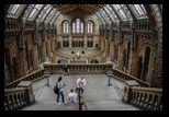 Londra -iunie-2014 - Bogdan Balaban